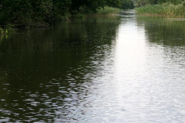 Killikus&reg; Fotographie